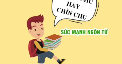 Chỉnh chu hay chỉn chu